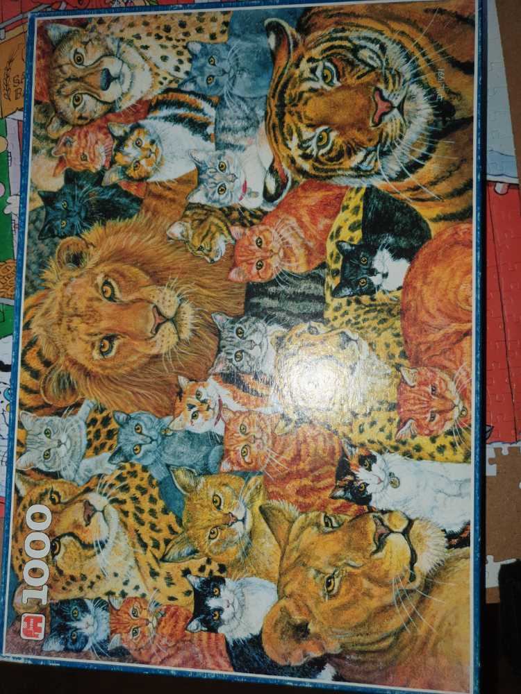 Ravensburger: Historical Map Of The World