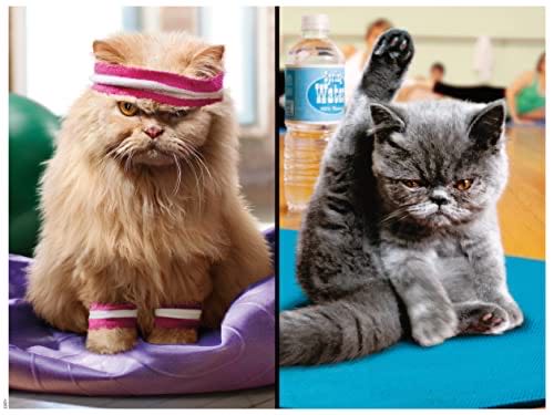 Disney Castle Collection: Aurora