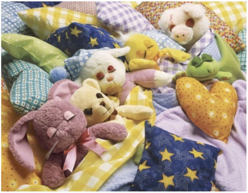 Sleepover - Springbok puzzle collectible [Barcode 091683704996] - Main Image 2