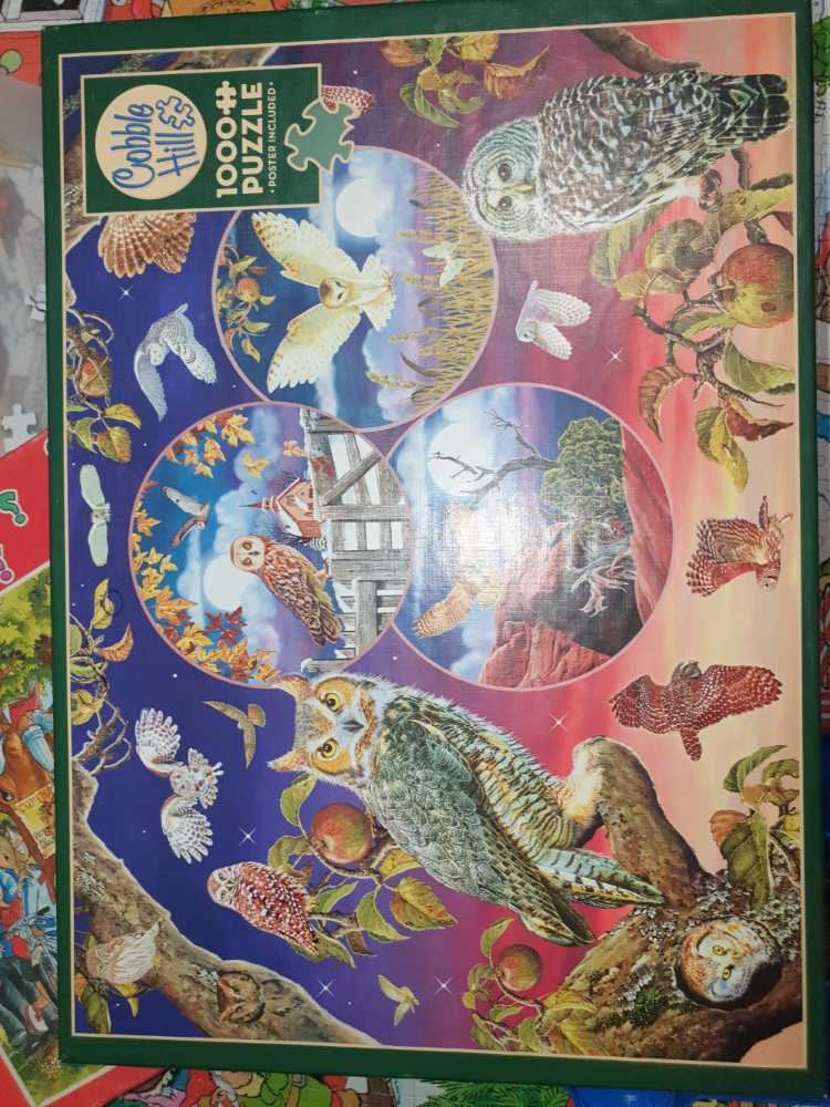 Puzzel Marius Van Dokkum Tweede Jeugd Marius