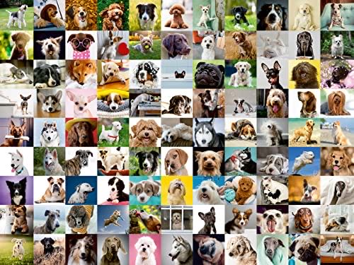 Mayhem At Gulch Thorpe Station