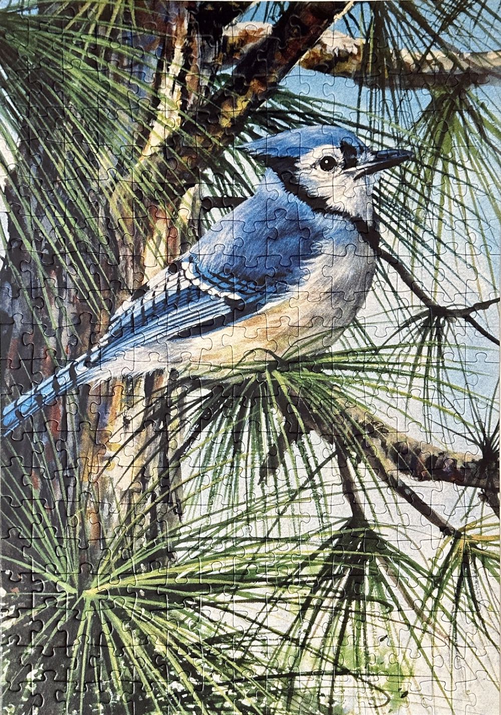 Blue Jay - Ravensburger puzzle collectible [Barcode 4005556135639] - Main Image 4