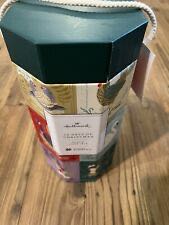 Winter Mountain Light