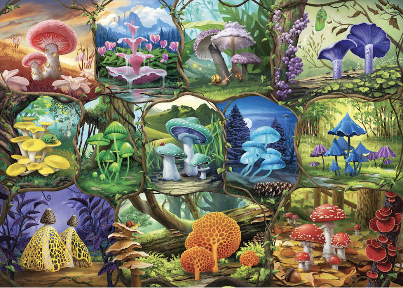 Beautiful Mushrooms - Ravensburger 🇩🇪 puzzle collectible [Barcode 4005556173129] - Main Image 2