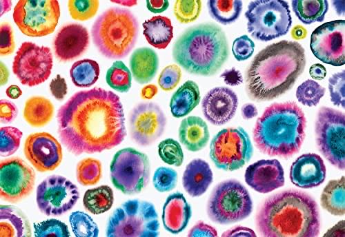 Bridges Of San Francisco