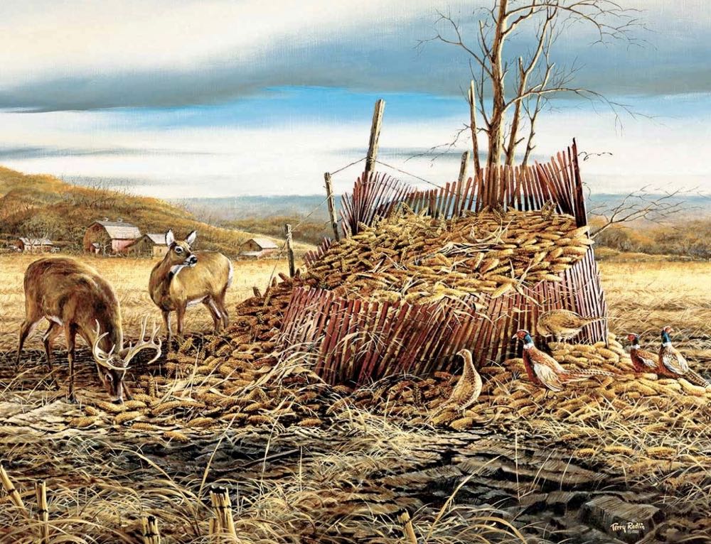 Wild Horse, Wild Winter