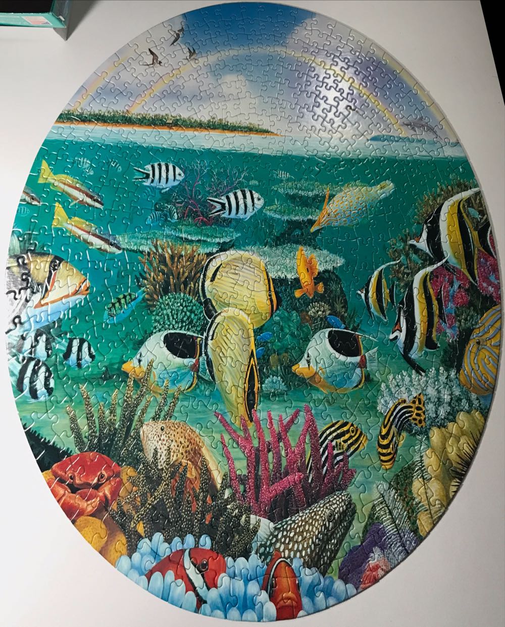 Rainbow Reef - Great American Puzzle Factory puzzle collectible [Barcode 010563009501] - Main Image 2