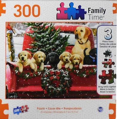 Star Wars The Force Is With You Young Skywalker