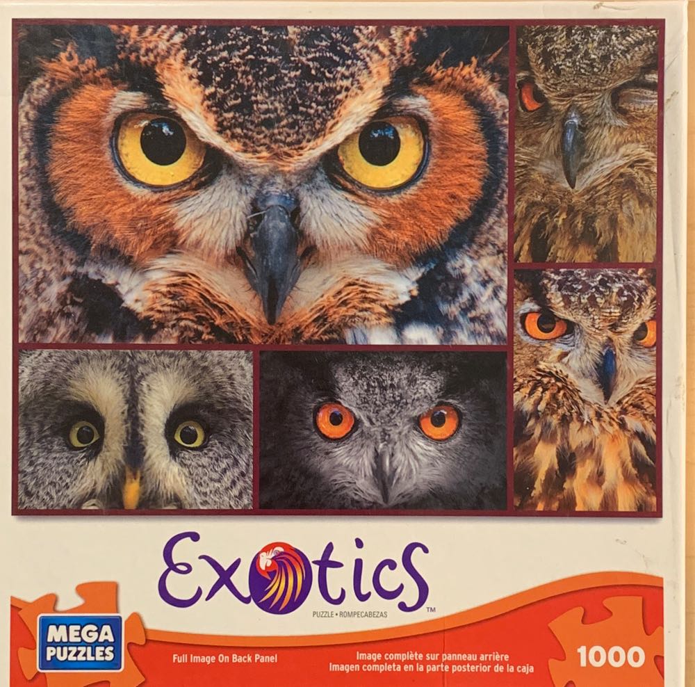 Upc Lookup For 1929490##### Meros.io