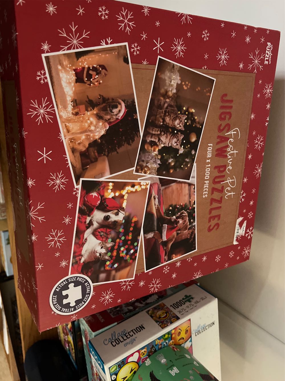 Pretending To Be A Normal Person