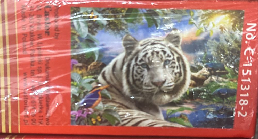 ENJOY- Colorful Rainbow Gradient