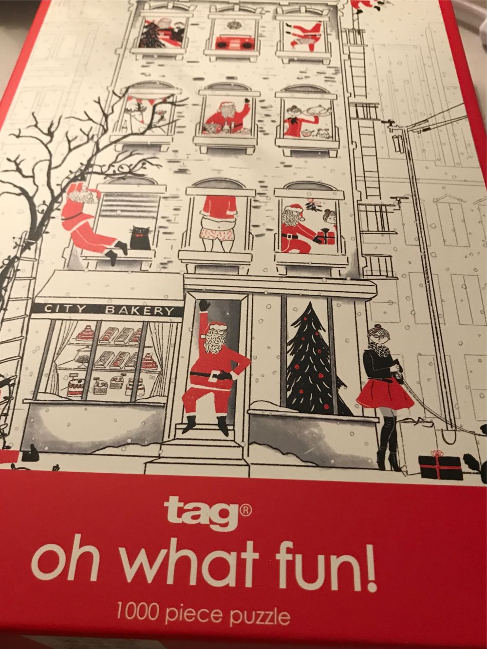 The Millennium Jigsaw Special Edition