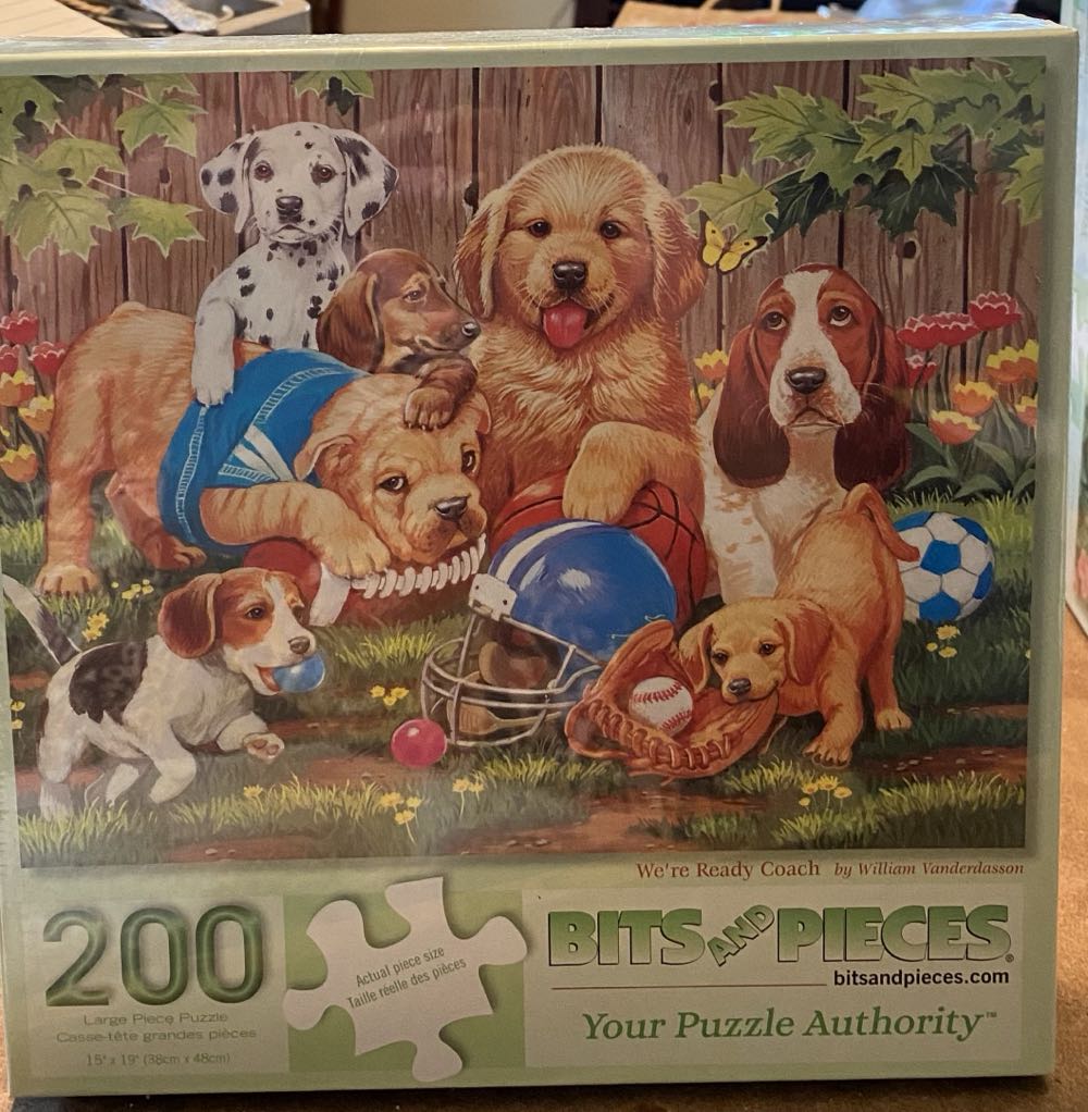 We’re Ready Coach - Bits And Pieces puzzle collectible [Barcode 192949039033] - Main Image 2