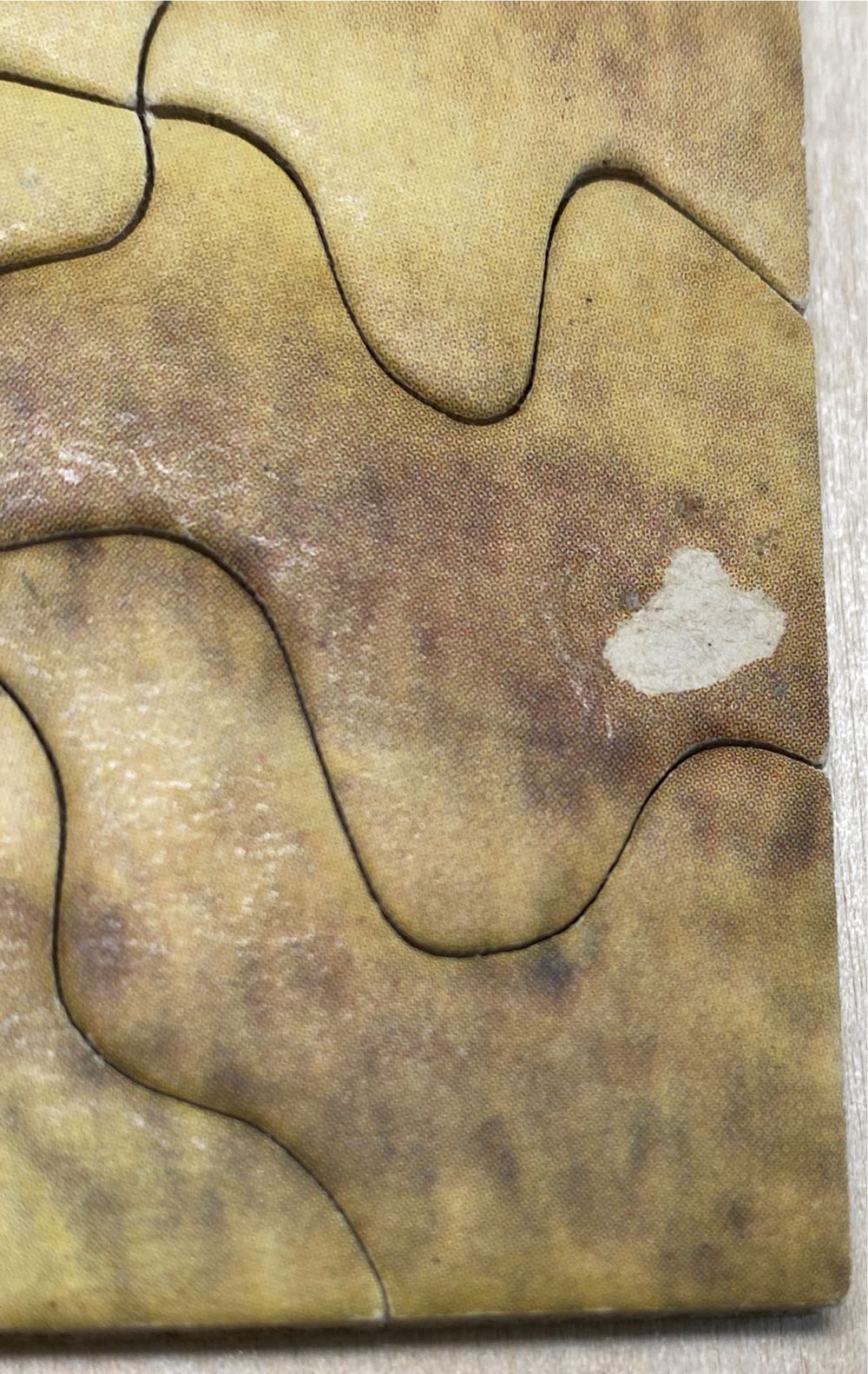 *Cabbage Hill - Tuco Inc puzzle collectible - Main Image 3