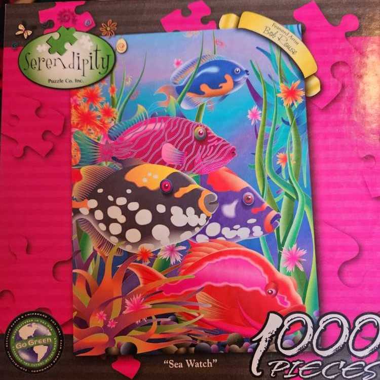 Atlantic Coast Road Trip