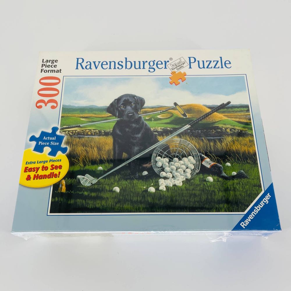 Piece Jigsaw Puzzle Wh Smith Life In The Country Swan Cottage Complete 2017