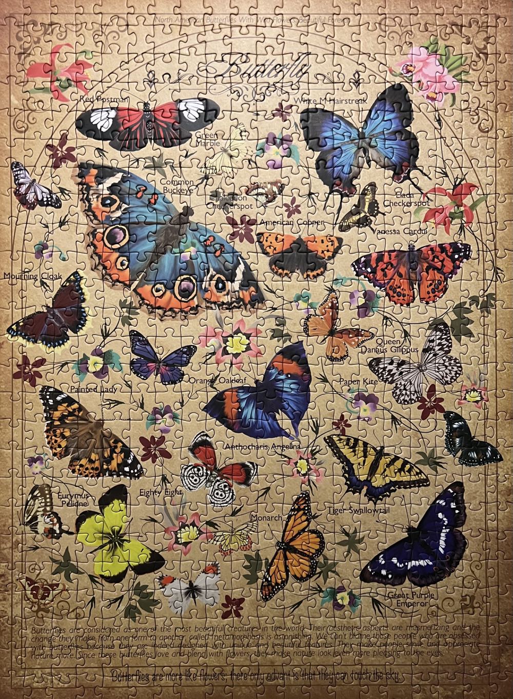 Eternal Butterflies Of The Spotless Mind - Antelope Puzzle puzzle collectible [Barcode 850030880017] - Main Image 2