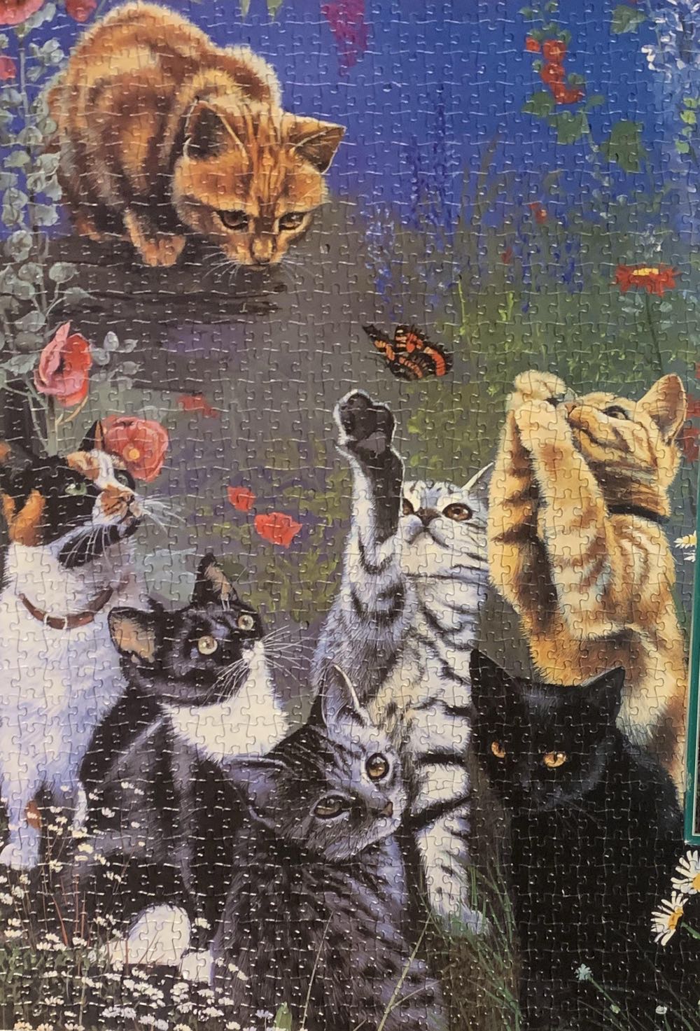 Cats In The Garden 🟦 - Otter House puzzle collectible [Barcode 665598350137] - Main Image 3