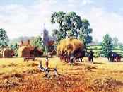 Down The Rabbit Hole