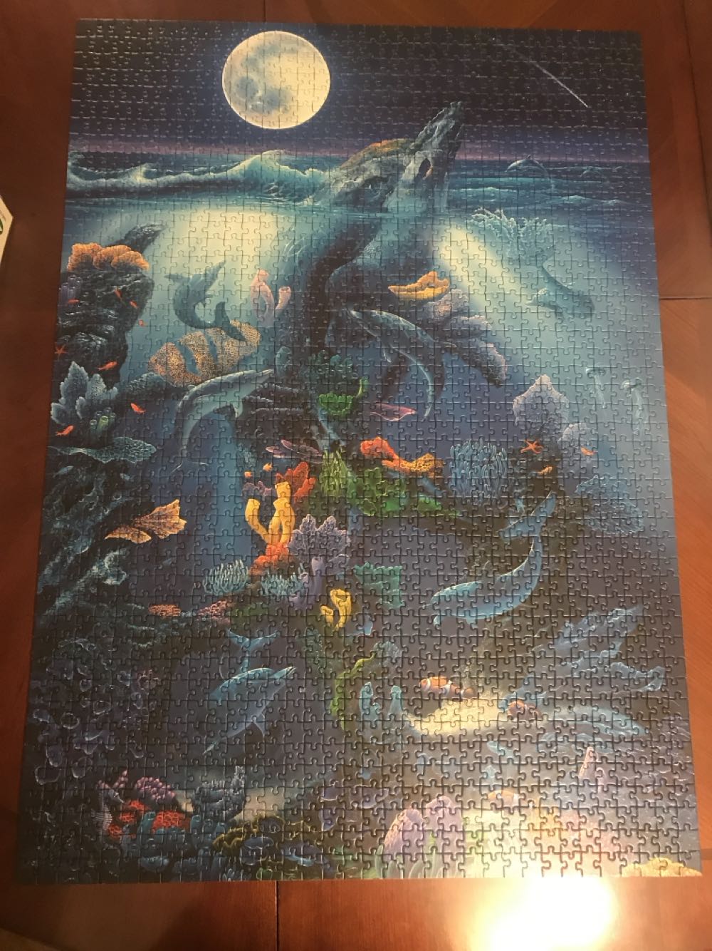 Ravensburger: Dolphin Reef - Ravensburger 1500 puzzle collectible [Barcode 4005556163557] - Main Image 2