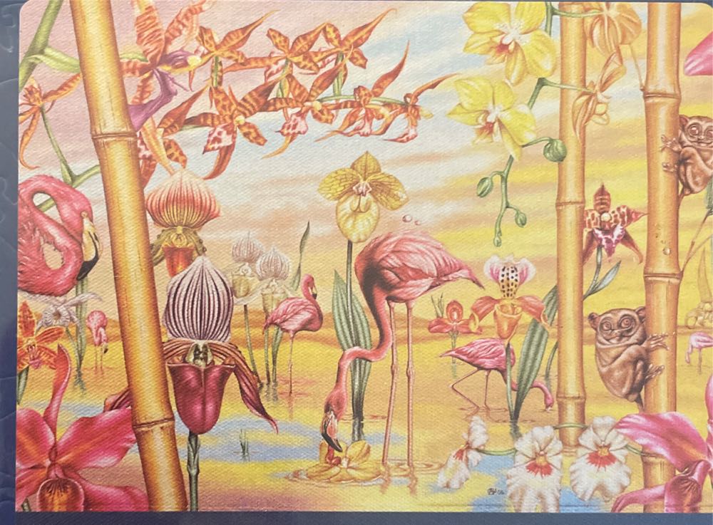 The Artist’s Palette