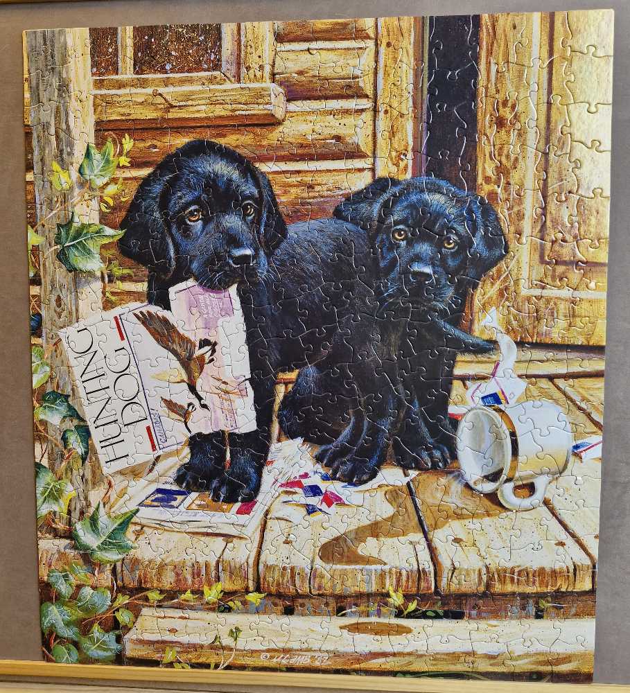 Cabin Fever / 300 Piece / Sunsout /Jim Lamb   puzzle collectible [Barcode 796780606388] - Main Image 2