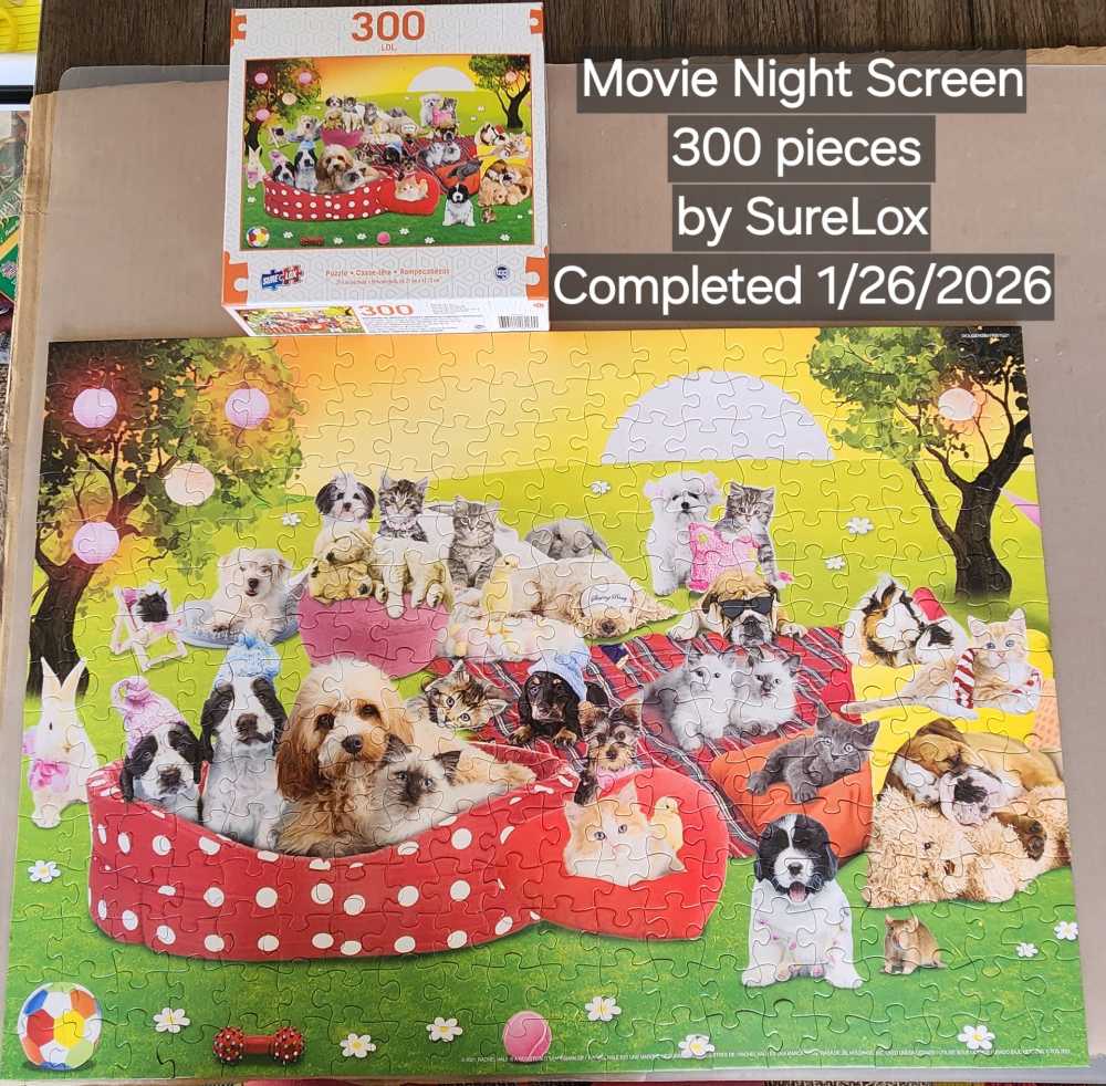 Movie Night Screen - Sure Lox puzzle collectible [Barcode 686141031600] - Main Image 2