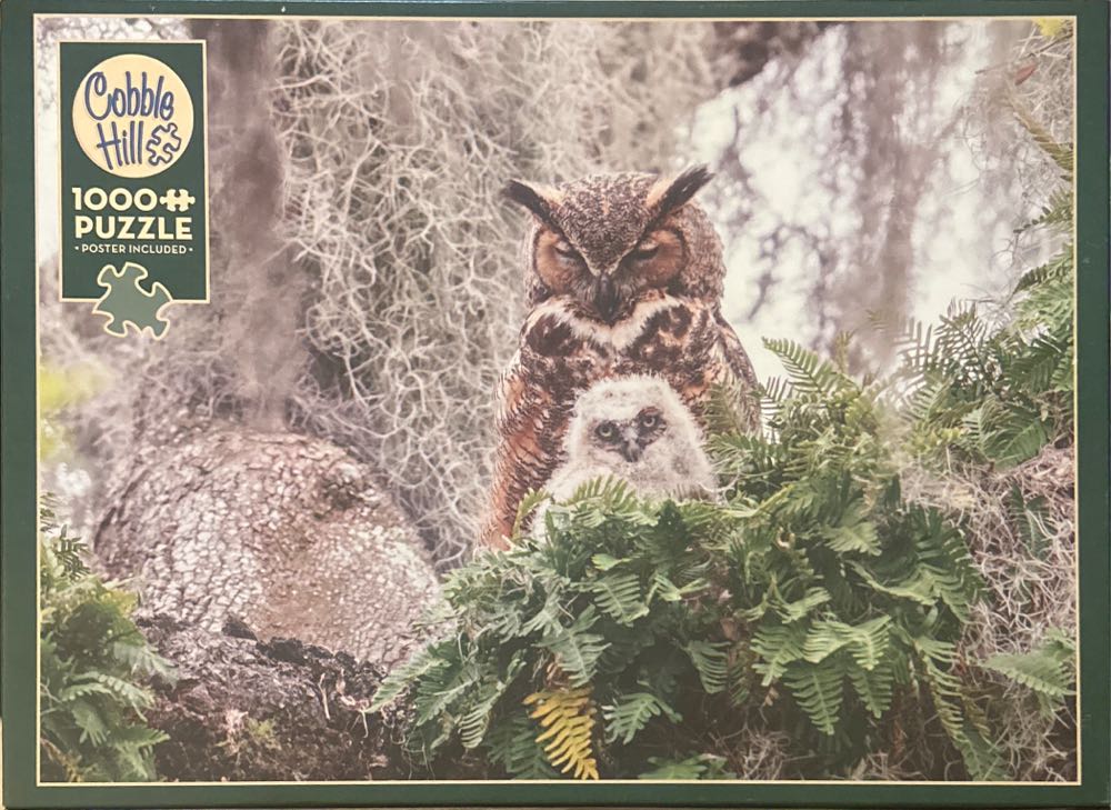 Josie Lewis: Painter’s Palette