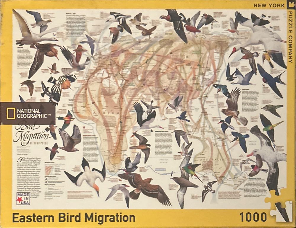 Donald Duck Easter Eggs 🟦