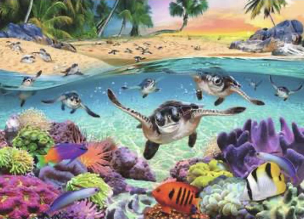 Race Of The Baby Sea Turtles - Ravensburger puzzle collectible [Barcode 4005556174560] - Main Image 2