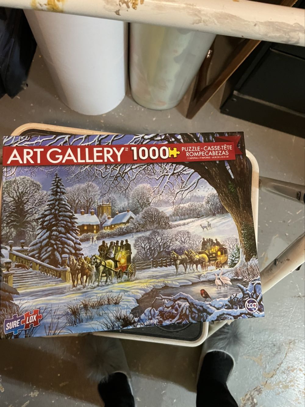 Amsterdam For Cat Lovers