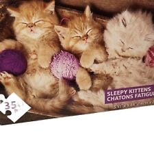 A Home For Christmas 