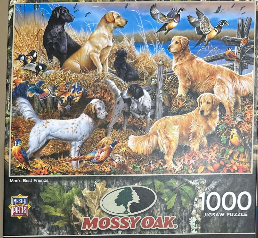 Jigsaw Puzzle Glue With Applicator Saves Laminates And Preserves Finished Jigsaw Puzzles Easy To Apply Dries Quick Clear & Bright