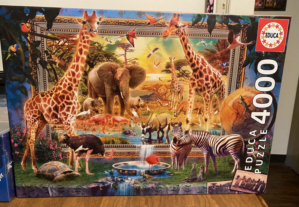 Junes Journey Orchid Estate