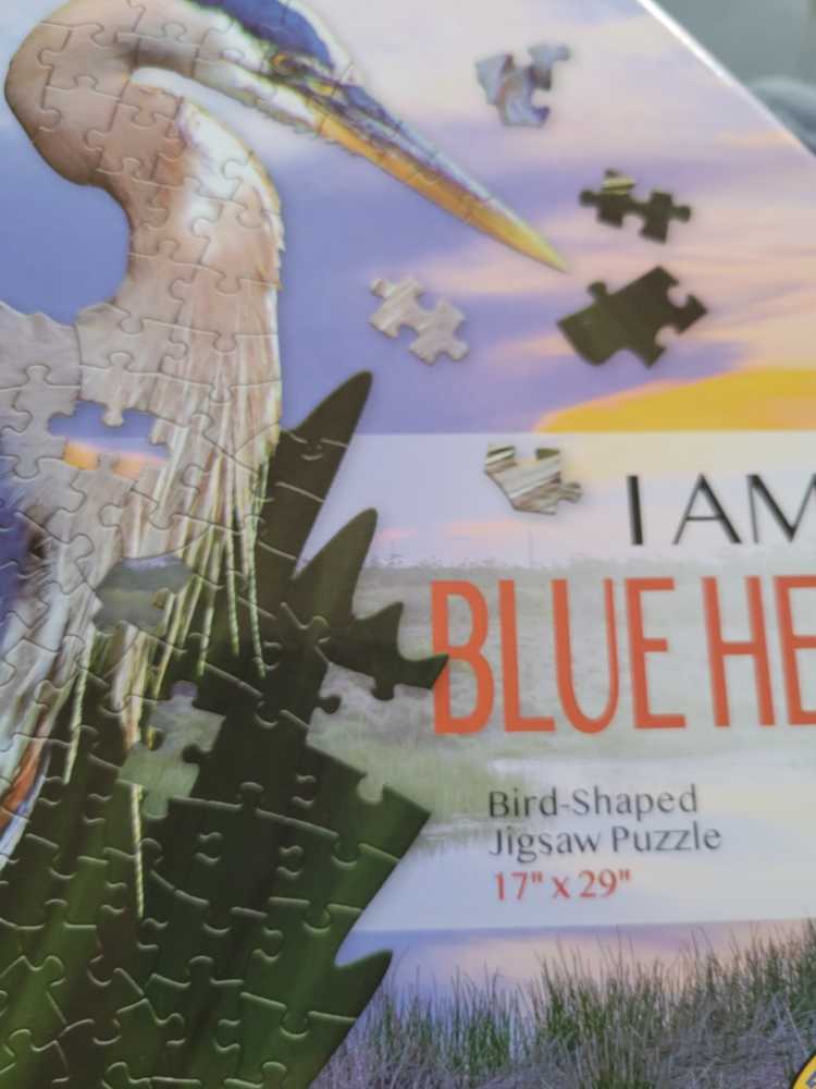 Enigma Art Puzzle By Ashima Kumar The Story Of Every Woman 550 Piece Premium Jigsaw Puzzle Plus