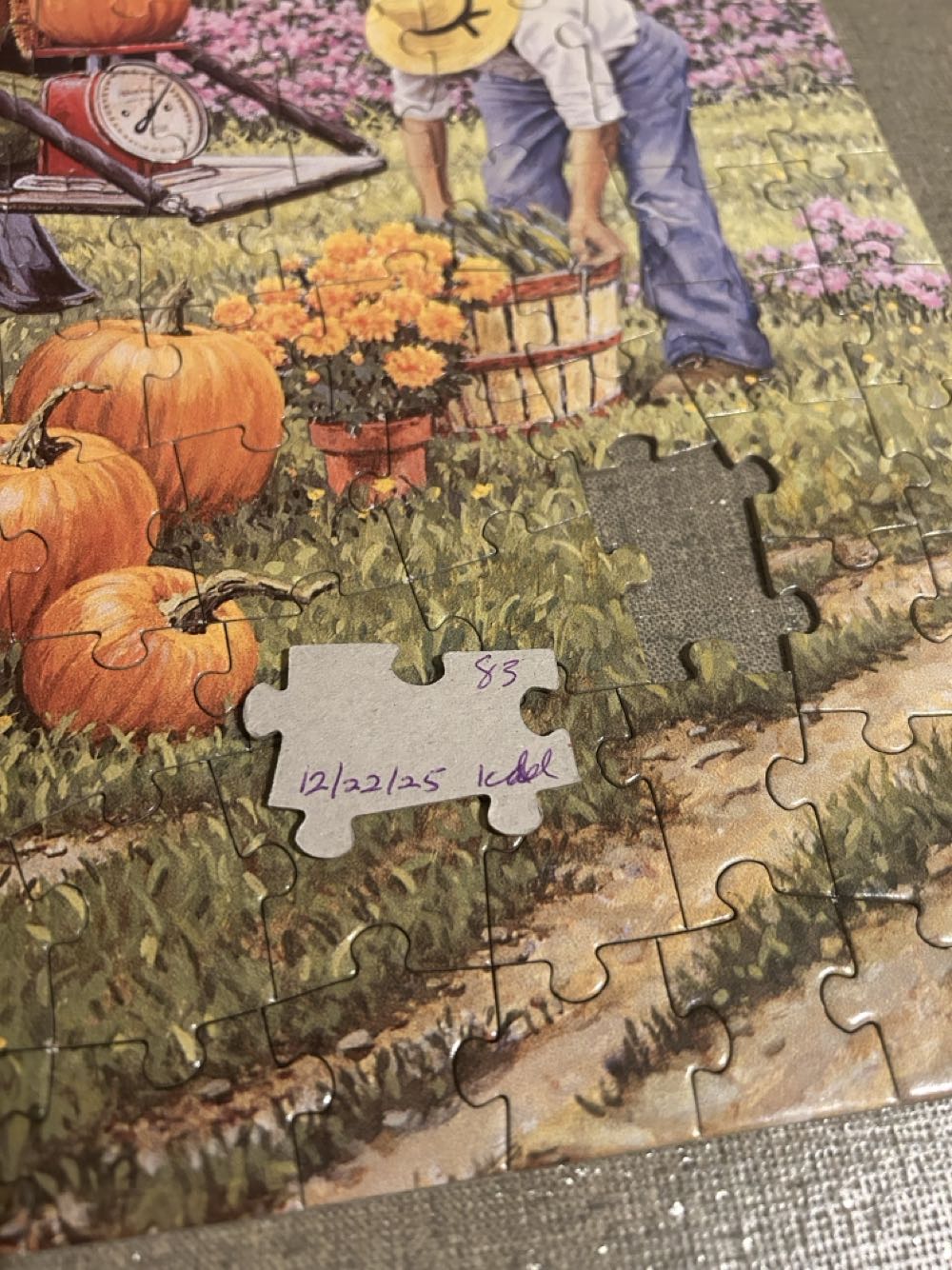 Home Grown - Bits & Pieces puzzle collectible [Barcode 192949016232] - Main Image 3