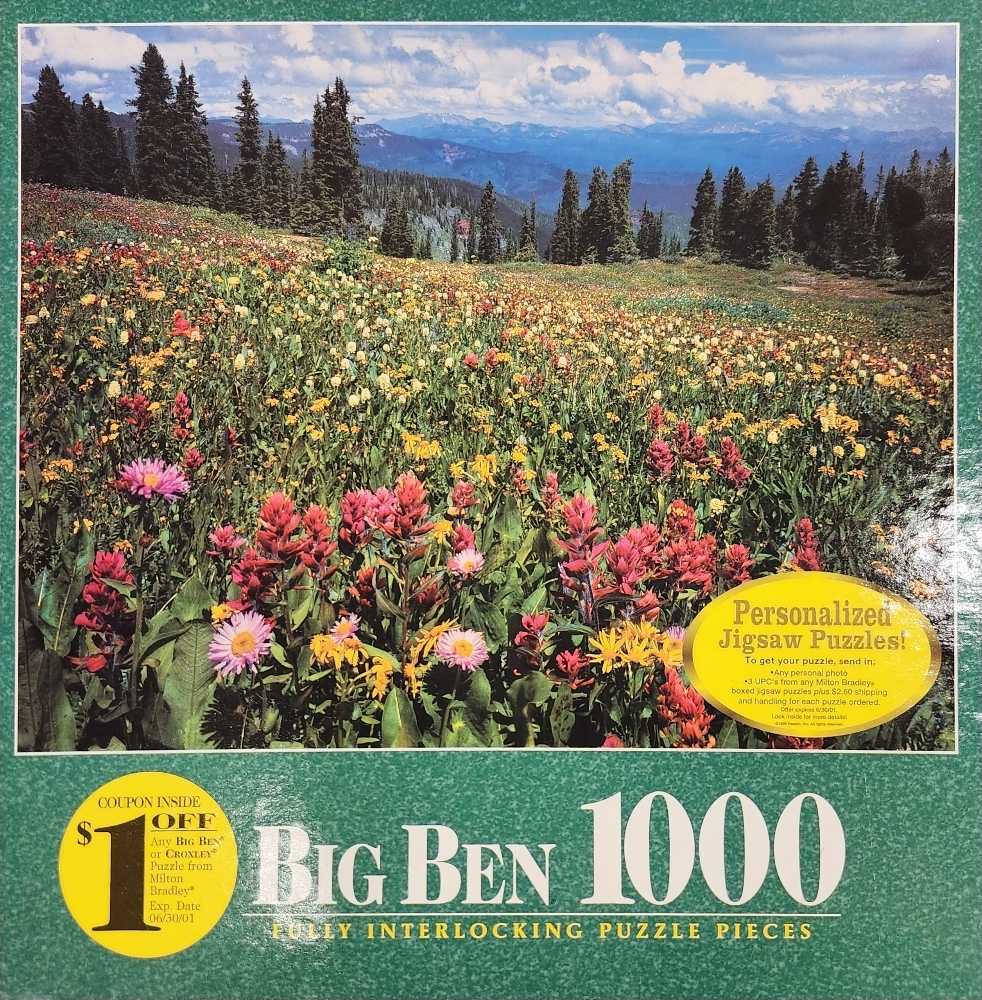 Christian Lacroix Heritage Collection Reveries Piece Panoramic