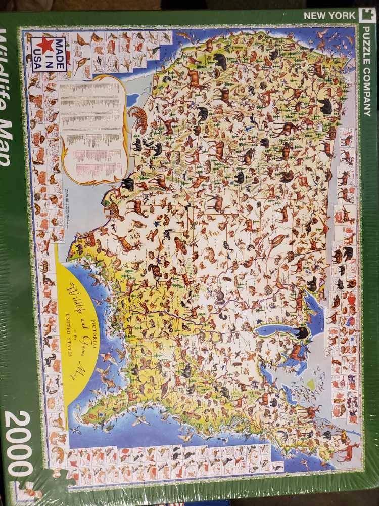 Art Gallery 6 Puzzle Pack