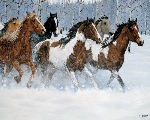 ZZ - Wild Beauty (SOLD) - White Mountain puzzle collectible [Barcode 724819249909] - Main Image 2