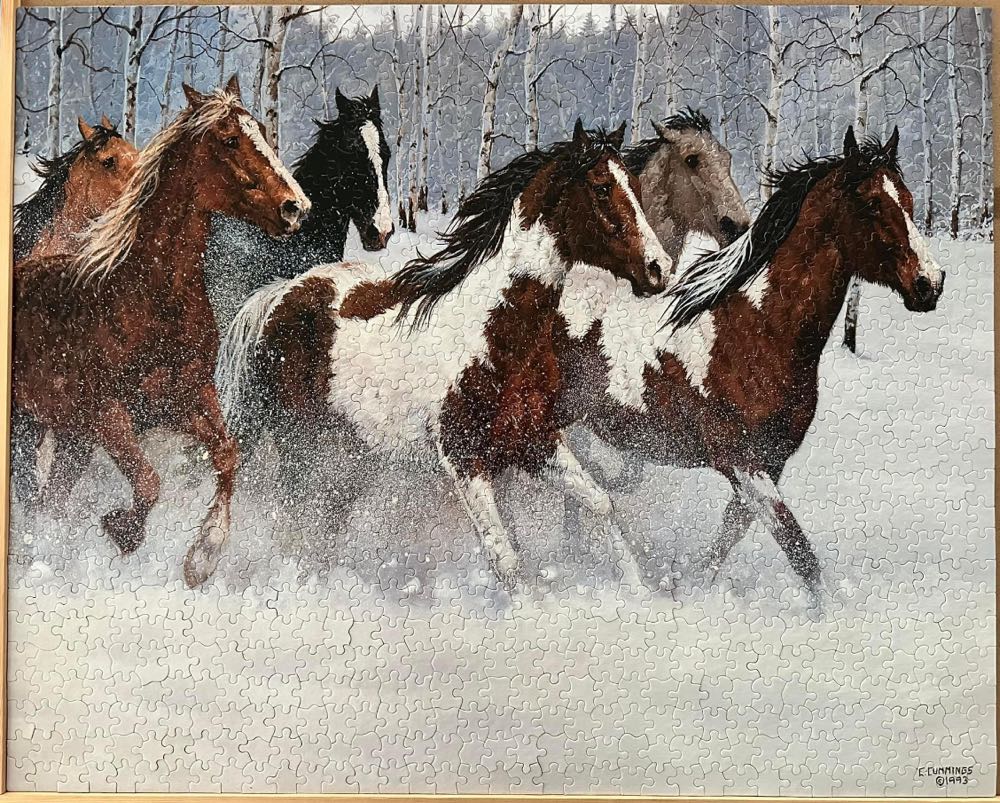 ZZ - Wild Beauty (SOLD) - White Mountain puzzle collectible [Barcode 724819249909] - Main Image 3