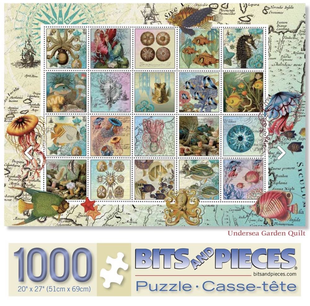 NASCAR Winners Circle 1998 Dale Earnhardt Jr.