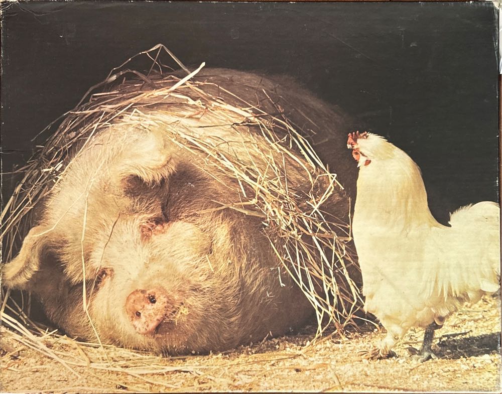 Throated Hummingbird