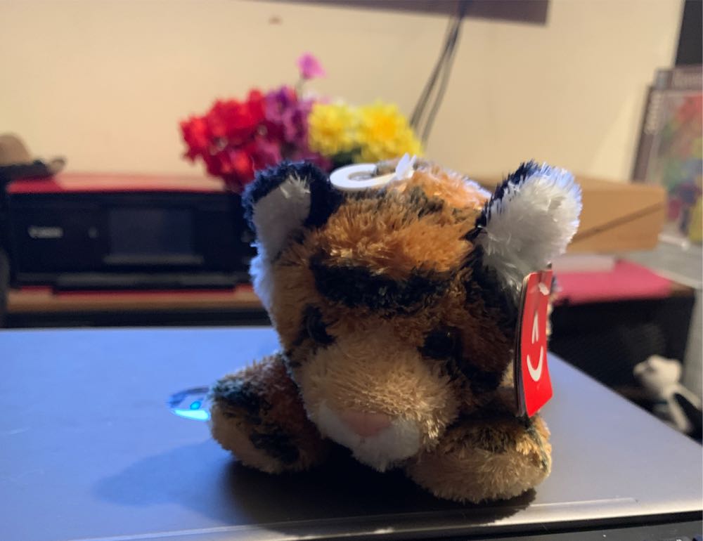 Golden Gate Bridge-sold