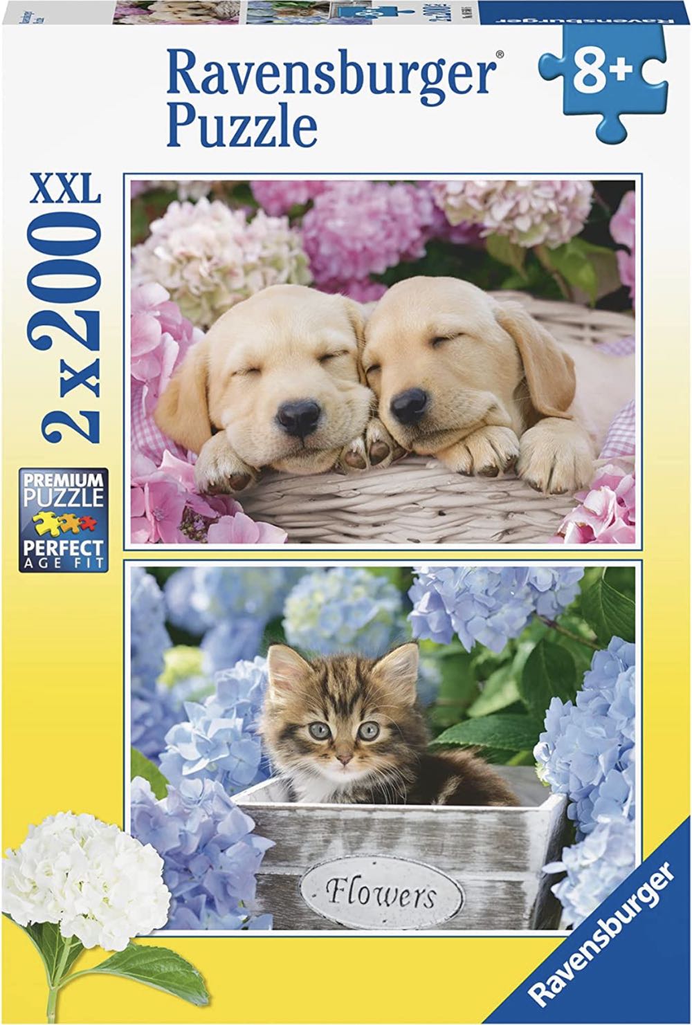 My Awesome Collection 1989