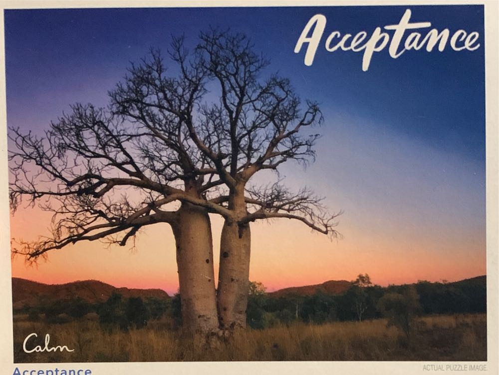 Painted Buntings In The Garden 