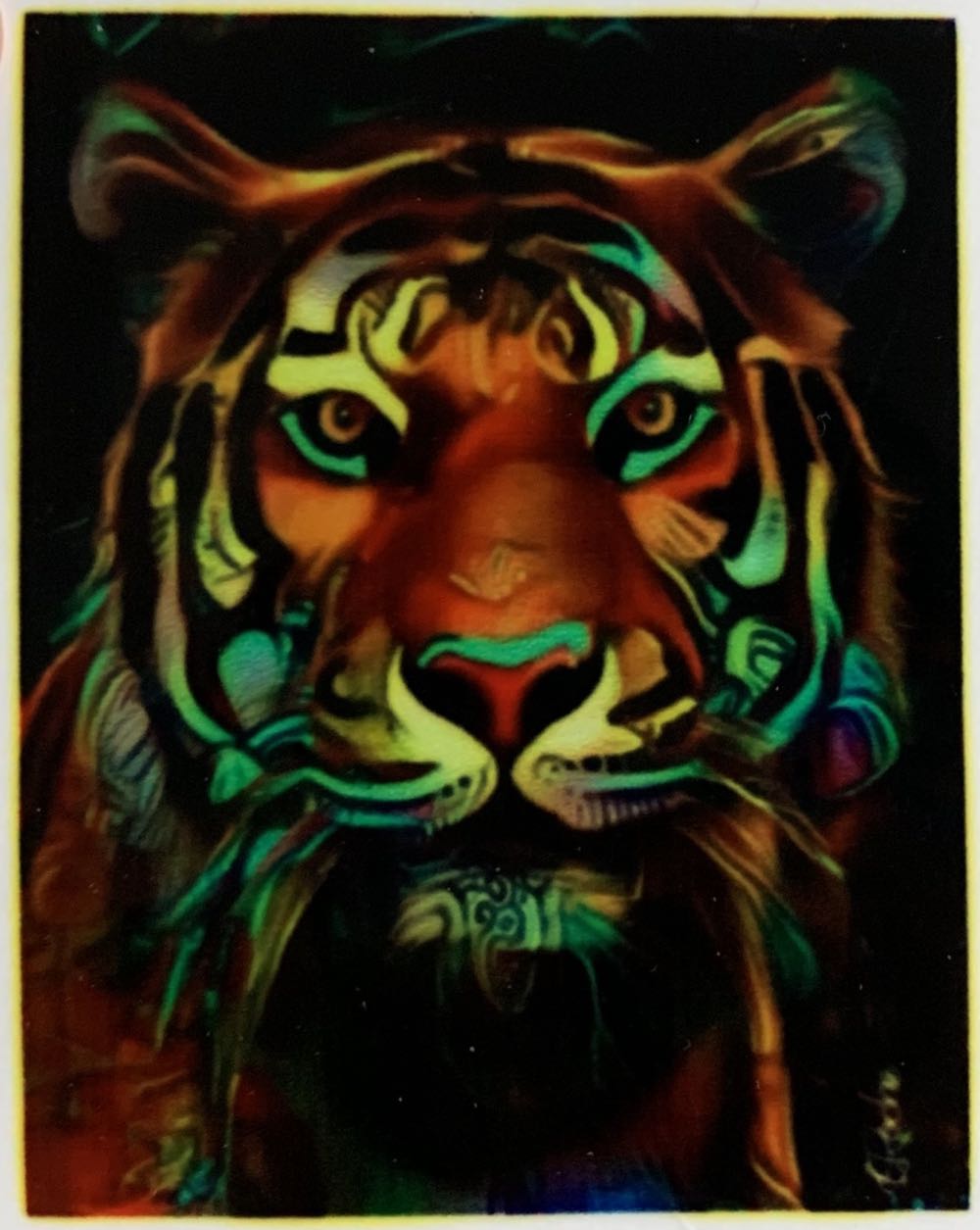 Her Coat of Many Colors