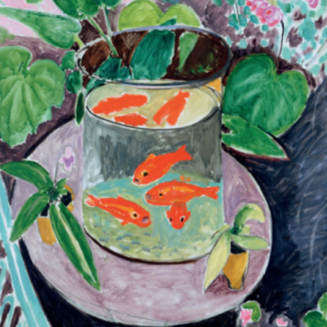 The Collector’s Cupboard