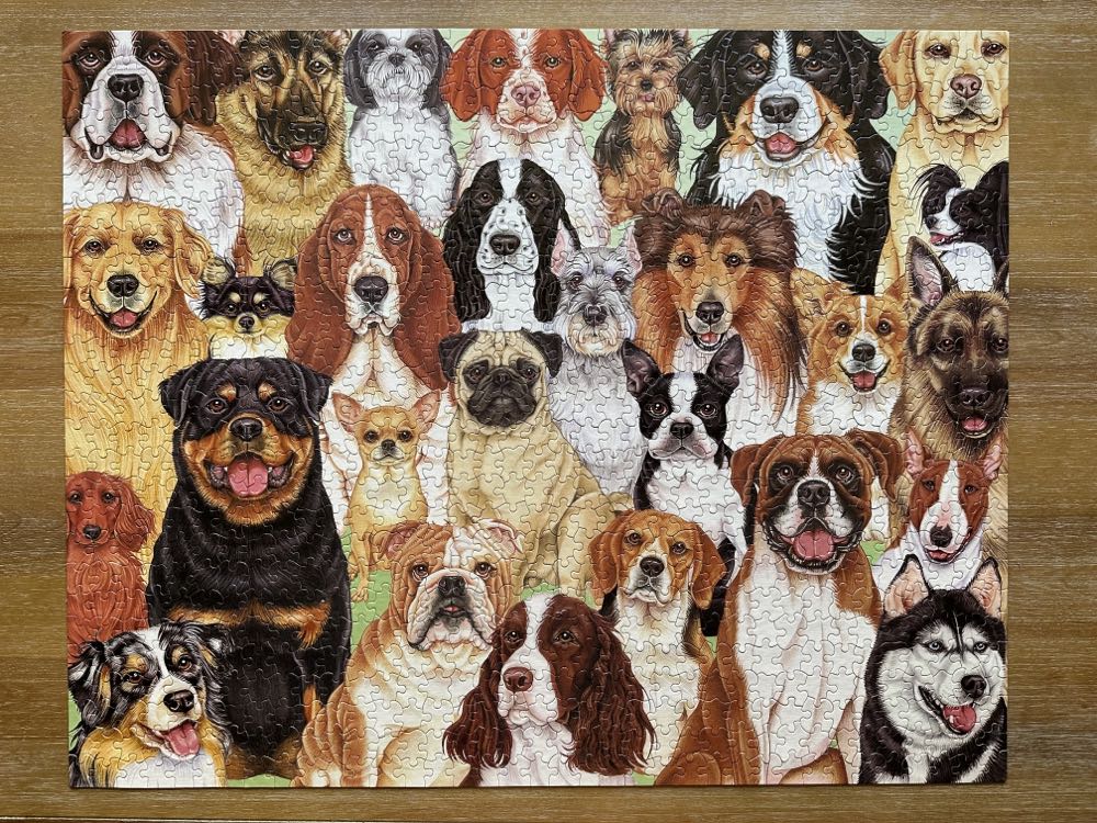 Dog Daze - White Mountain Puzzles puzzle collectible [Barcode 724819252046] - Main Image 2