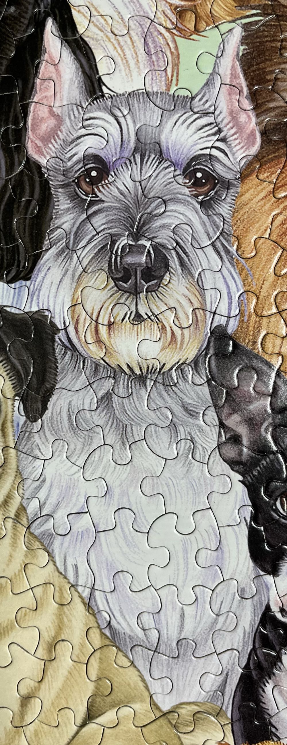 Dog Daze - White Mountain Puzzles puzzle collectible [Barcode 724819252046] - Main Image 4