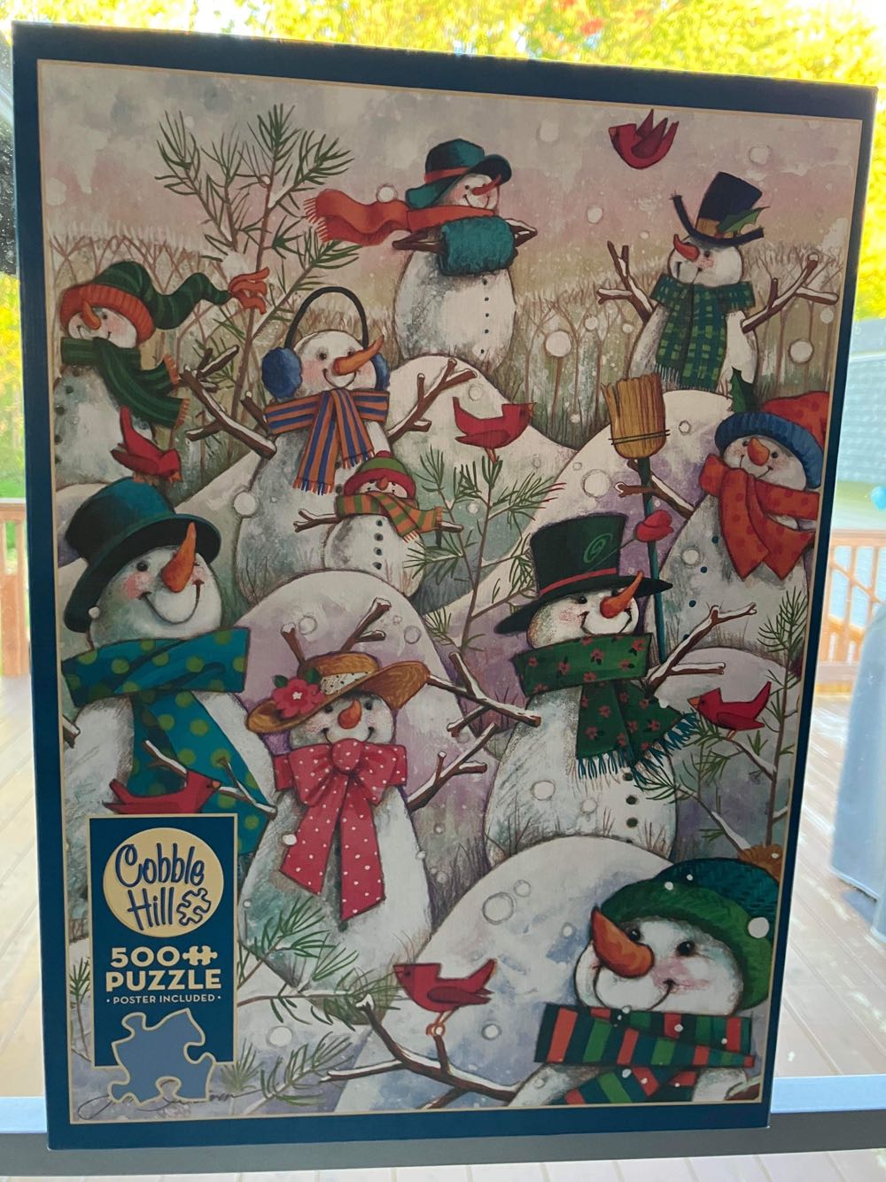 Swimming Lessons -NEW P